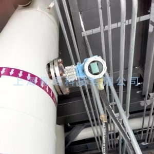 音叉密度计在环保药剂测量中的应用